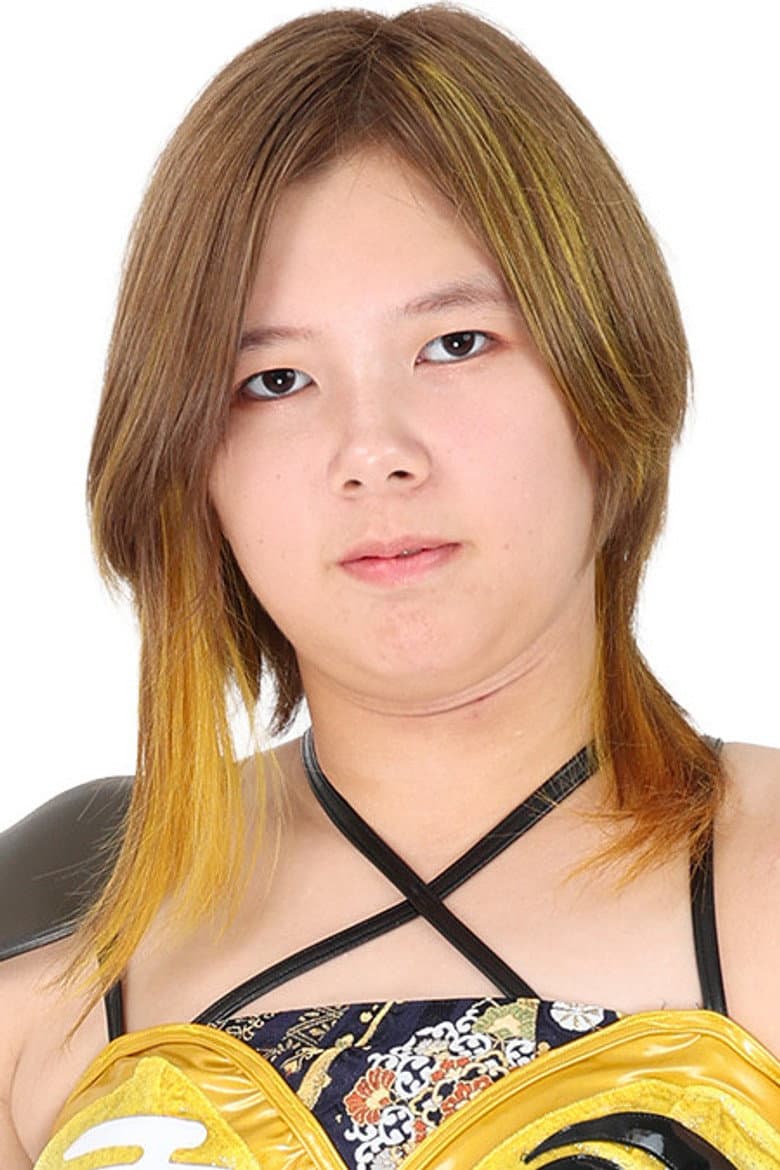 Ai Houzan
