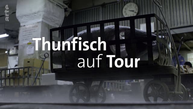 Tuna on Tour