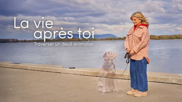 La vie après toi: traverser un deuil animalier
