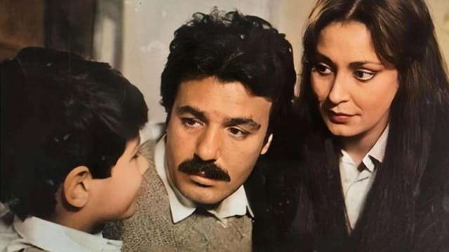 Her Şeyim Sensin