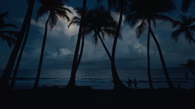 Fòs - Chronicle of Guadeloupean Fencing