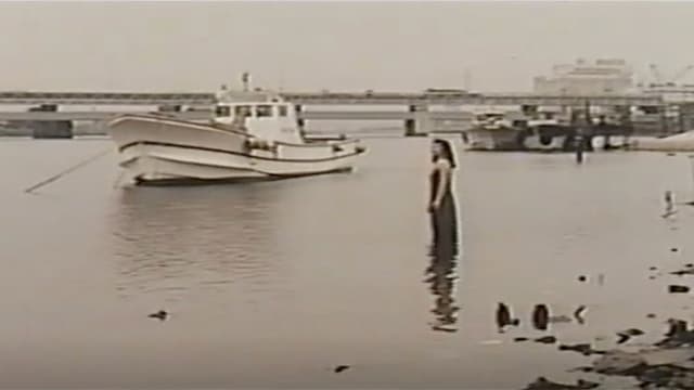Iyarashii zengi: Sugoku kanjiru