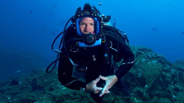 Shark with Steve Backshall