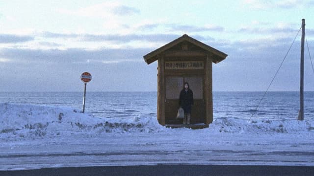 Man Walking on Snow