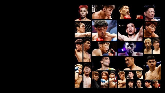 PANCRASE 355