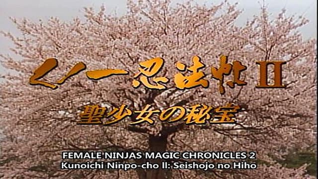 Female Ninjas Magic Chronicles 2: Secret of the Christian Bells