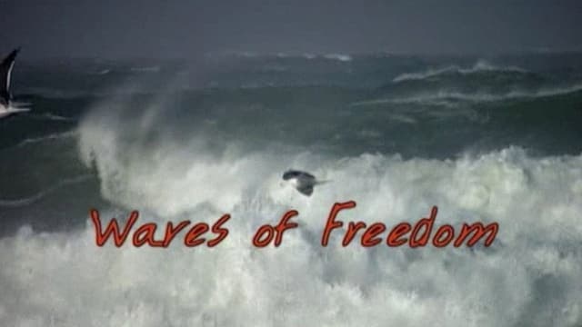 Waves of Freedom
