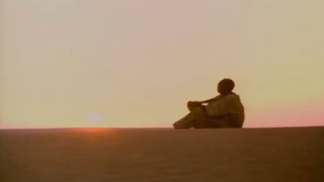 Human Being