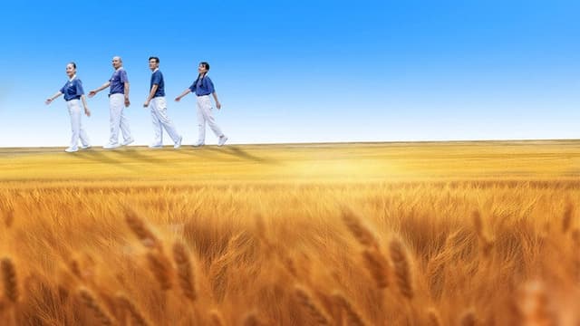 Life's Harvest