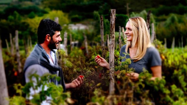 The Global Farm