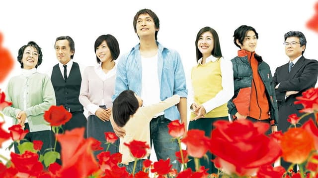 Flower Shop Without Rose