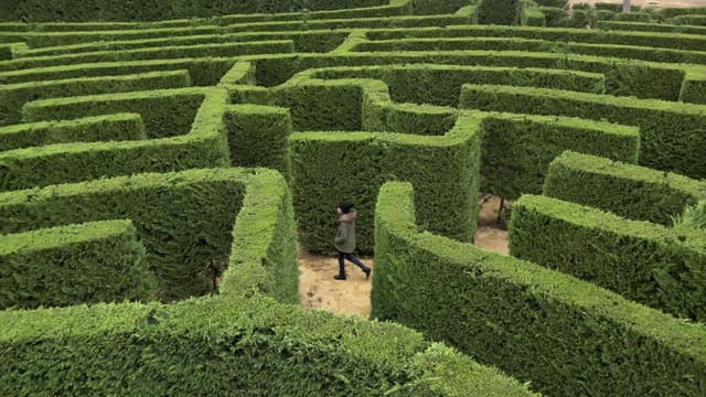 Labyrinths