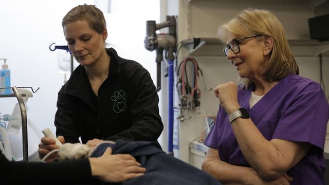 Fern Britton: Inside The Vet's