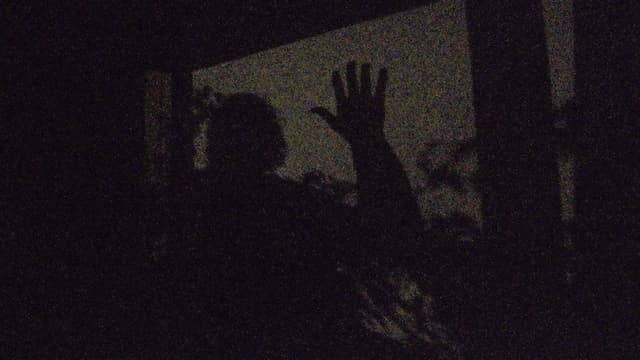 A garden of shadows