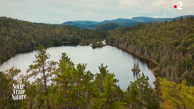 Notre vraie nature