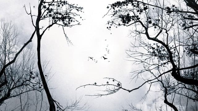 Premonition