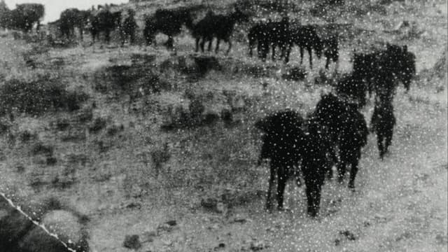 Partition