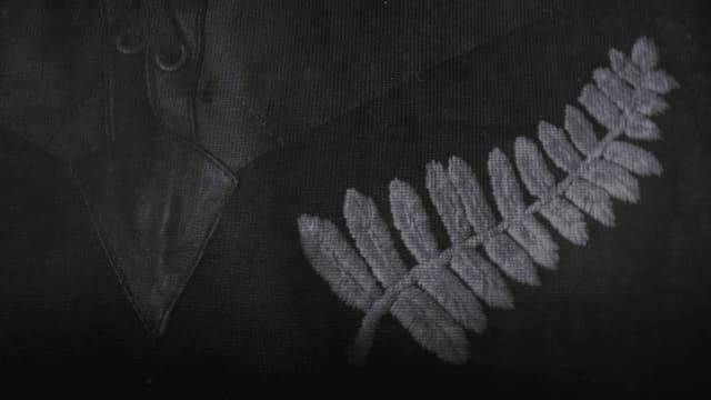 All Blacks at War