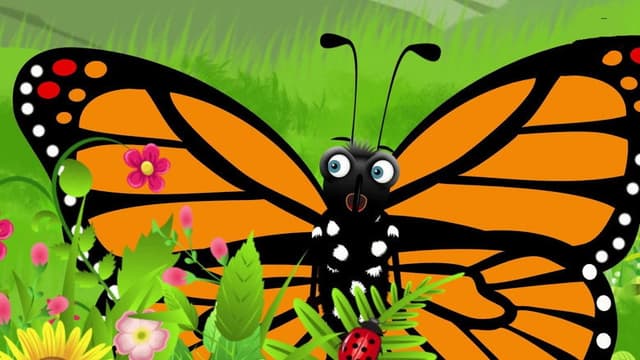 Moth