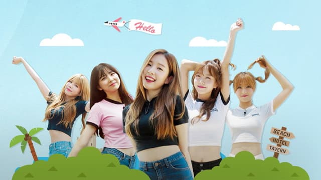 Hello I.B.I
