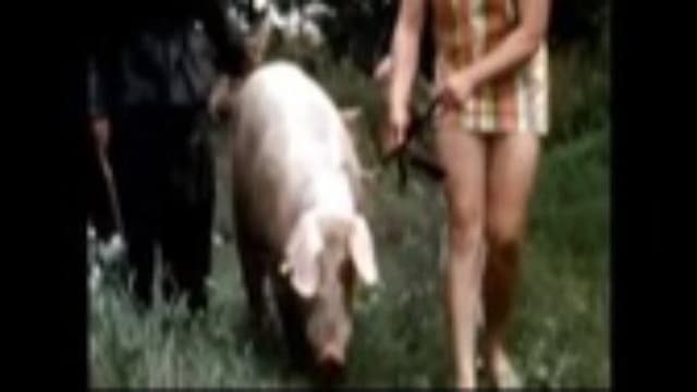The Dark Side of Porn: The Real Animal Farm