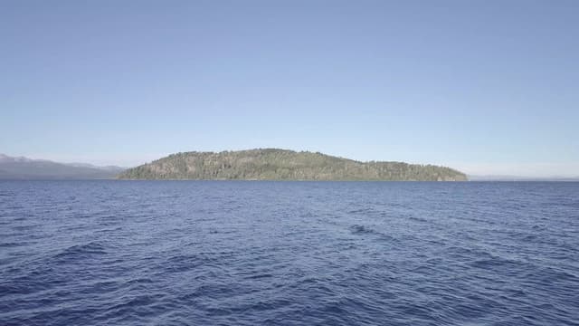 Huemul