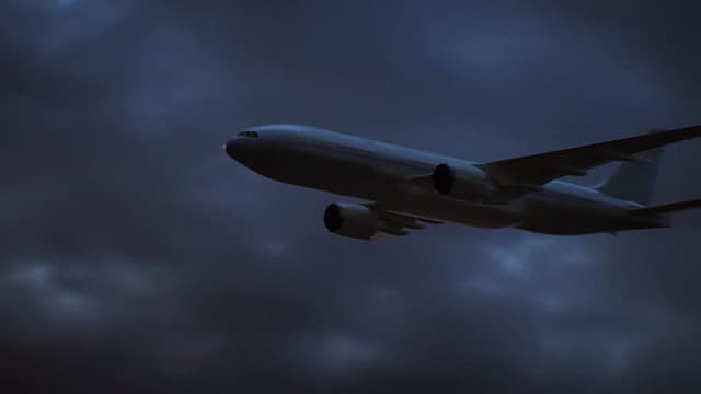 The Flight