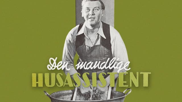 Den mandlige husassistent