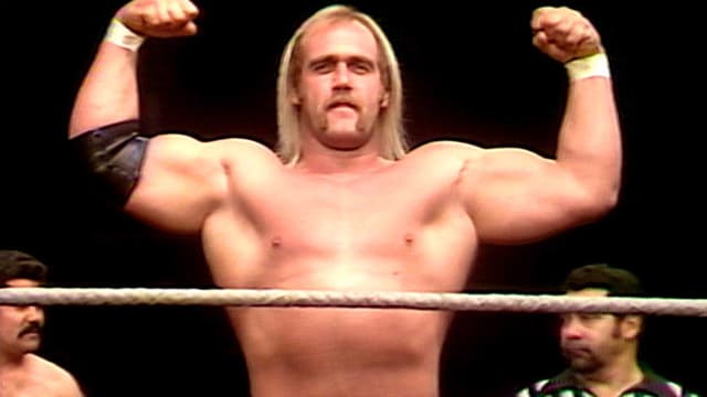 WWF All-Star Wrestling