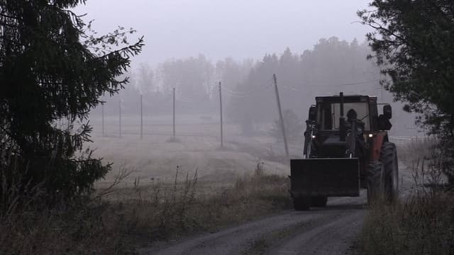 Sysien syleily - Kohtaaminen