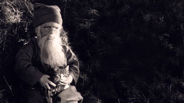 Tomten: A Winter Tale