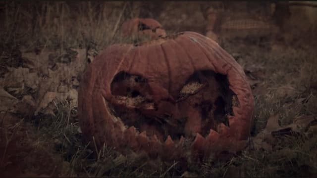 3 Dead Trick or Treaters