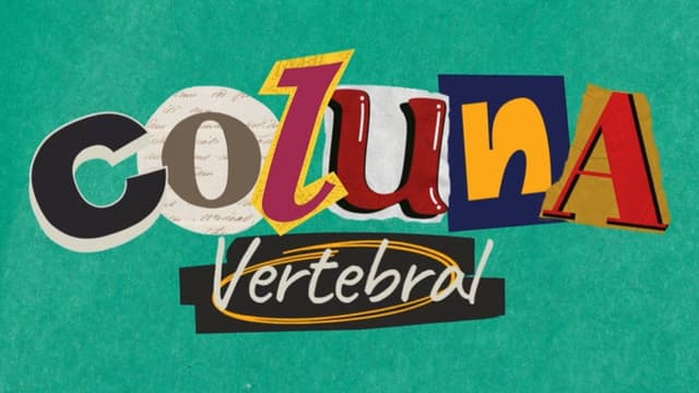 Vertebral Column