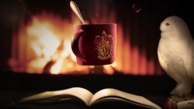 Harry Potter: Fireplace