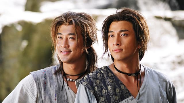 Twin of Brothers