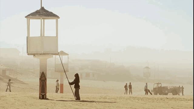 The Lifeguard