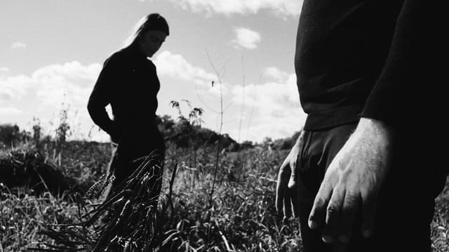 The Meadow