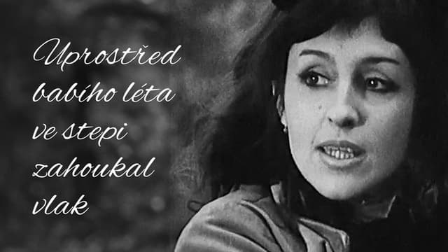 Uprostřed babího léta ve stepi zahoukal vlak
