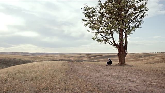 The Road to Mother