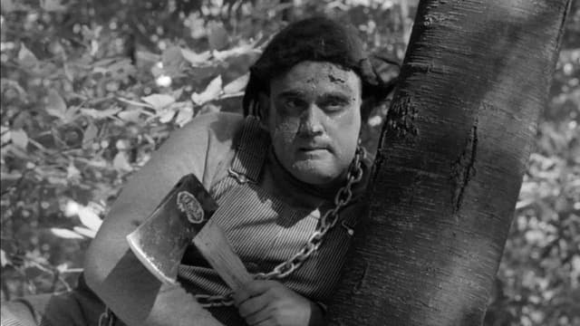The Monster of Camp Sunshine or How I Learned to Stop Worrying and Love Nature