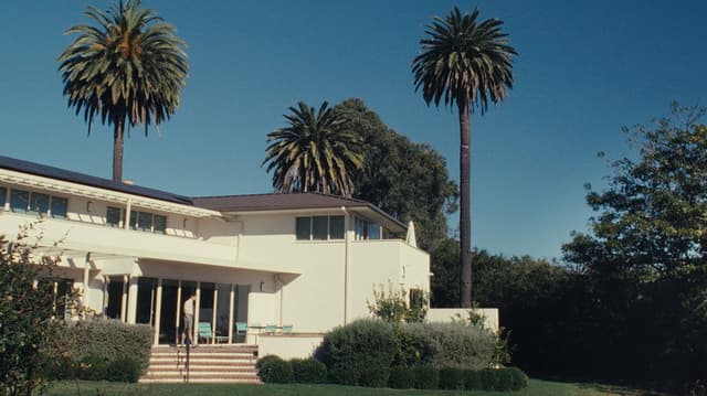 Confessions of Thomas Mann, Confidence Man