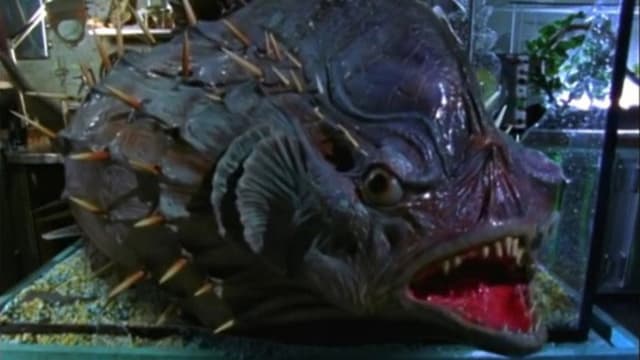Goosebumps: Deep Trouble