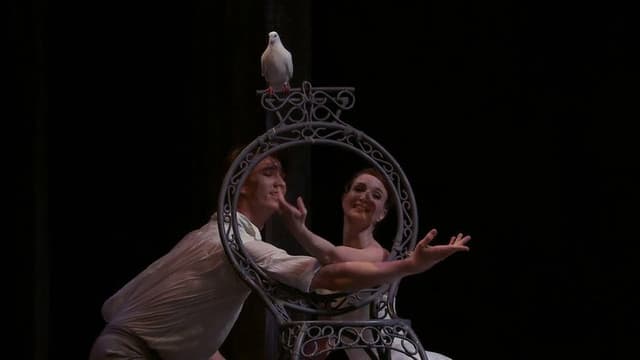 The Cellist and The Two Pigeons