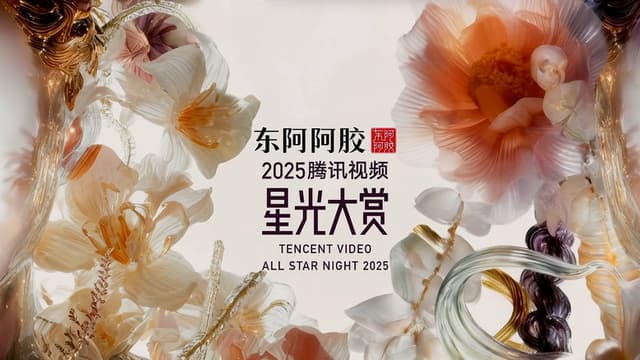 Tencent Video All Star Night 2025