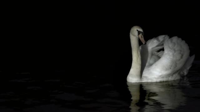 L'appel Du Vide