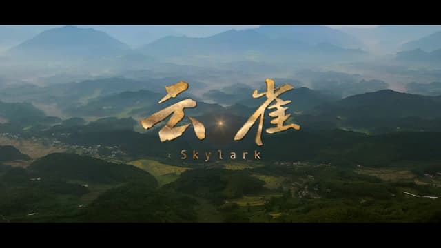 Sky Lark
