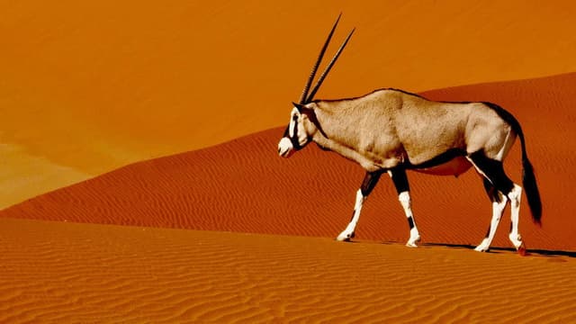 Namibia’s Natural Wonders