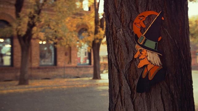 The Witching Season