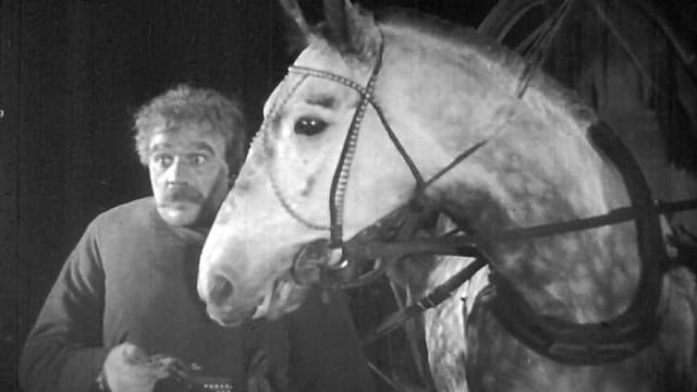 Night Coachman