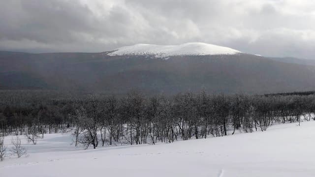 The Dyatlov Pass Incident
